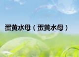 蛋黄水母（蛋黄水母）