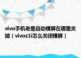 vivo手机老是自动横屏在哪里关掉（vivoz1i怎么关闭横屏）