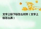 文字上标下标怎么对齐（文字上标怎么弄）