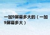 一加9屏幕多大的（一加9屏幕多大）