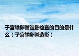 子宫输卵管造影检查的目的是什么（子宫输卵管造影）