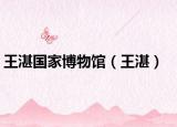 王湛国家博物馆（王湛）