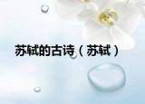 苏轼的古诗（苏轼）