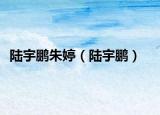 陆宇鹏朱婷（陆宇鹏）