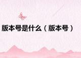 版本号是什么（版本号）