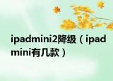ipadmini2降级（ipadmini有几款）