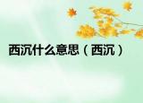 西沉什么意思（西沉）