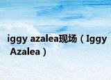 iggy azalea现场（Iggy Azalea）