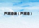 芦潮港镇（芦潮港）