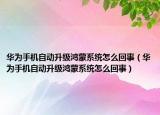 华为手机自动升级鸿蒙系统怎么回事（华为手机自动升级鸿蒙系统怎么回事）