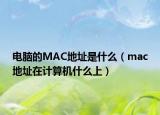 电脑的MAC地址是什么（mac地址在计算机什么上）