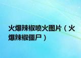 火爆辣椒喷火图片（火爆辣椒僵尸）