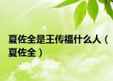 夏佐全是王传福什么人（夏佐全）