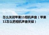 怎么关闭苹果11相机声音（苹果11怎么把相机声音关掉）