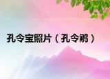 孔令宝照片（孔令鹇）