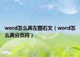 word怎么弄左图右文（word怎么弄分页符）