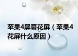 苹果4屏幕花屏（苹果4花屏什么原因）