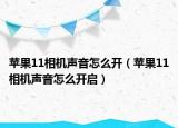 苹果11相机声音怎么开（苹果11相机声音怎么开启）