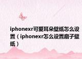 iphonexr可爱耳朵壁纸怎么设置（iphonexr怎么设置扇子壁纸）