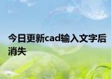 今日更新cad输入文字后消失