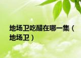 地场卫吃醋在哪一集（地场卫）
