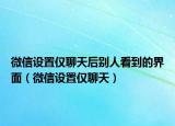 微信设置仅聊天后别人看到的界面（微信设置仅聊天）