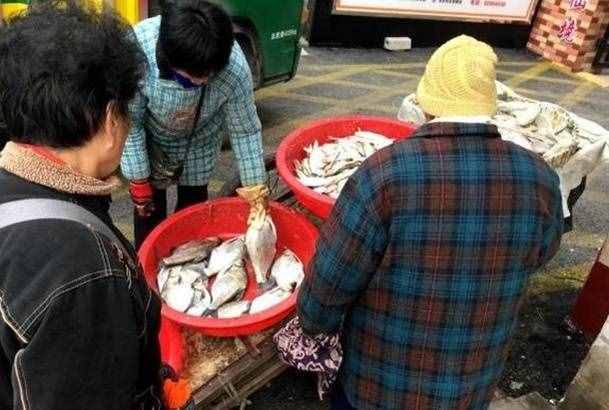 事实证明在农村做这5样生意是可行的，本小利大，想做就赶紧了