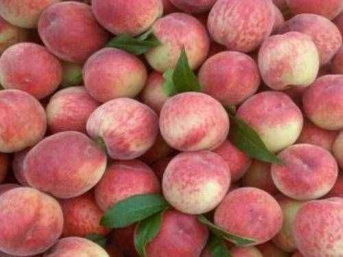 常吃桃子，3个好处不请自来，但别这样吃，不然后悔就晚了