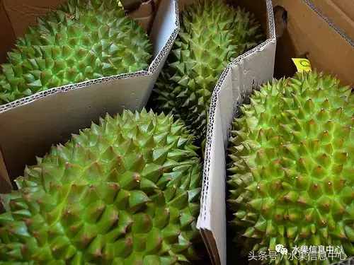 史上最全榴莲品种产地分类大全