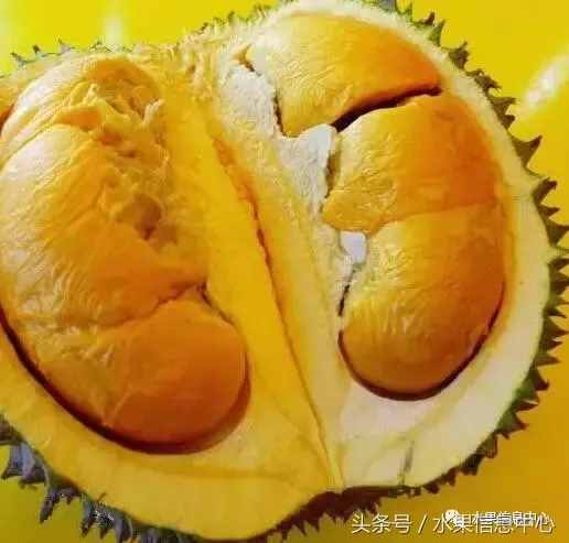 史上最全榴莲品种产地分类大全