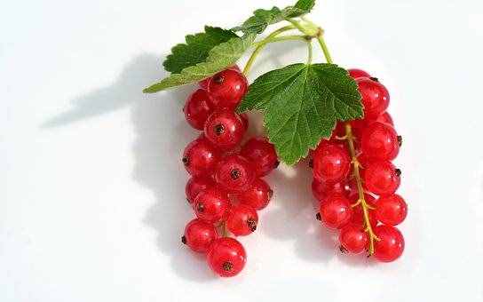 9种孕期不能吃的食物，可大多孕妈吃过不下5种，你中招了吗？