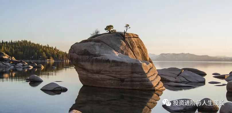 《漫步华尔街》中的“坚实基础”与“空中楼阁”