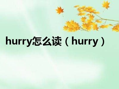 hurry怎么读hurry
