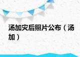 汤加灾后照片公布（汤加）