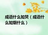 成语什么如焚（成语什么如烟什么）