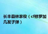 长丰县林家俊（cf修罗加几发子弹）