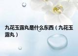 九花玉露丸是什么东西（九花玉露丸）
