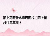 陌上花开什么意思图片（陌上花开什么意思）