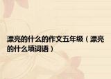 漂亮的什么的作文五年级（漂亮的什么填词语）