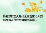 外交部发言人是什么级别官（外交部发言人是什么级别的职务）