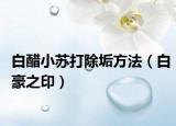 白醋小苏打除垢方法（白豪之印）