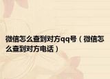 微信怎么查到对方qq号（微信怎么查到对方电话）