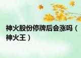 神火股份停牌后会涨吗（神火王）