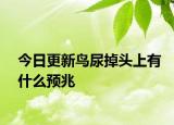 今日更新鸟尿掉头上有什么预兆