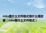 mkv是什么文件格式用什么播放器（mkv是什么文件格式）