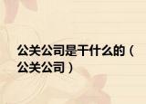 公关公司是干什么的（公关公司）