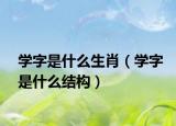学字是什么生肖（学字是什么结构）