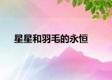 星星和羽毛的永恒