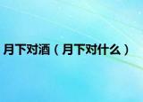 月下对酒（月下对什么）