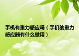 手机有重力感应吗（手机的重力感应器有什么做用）